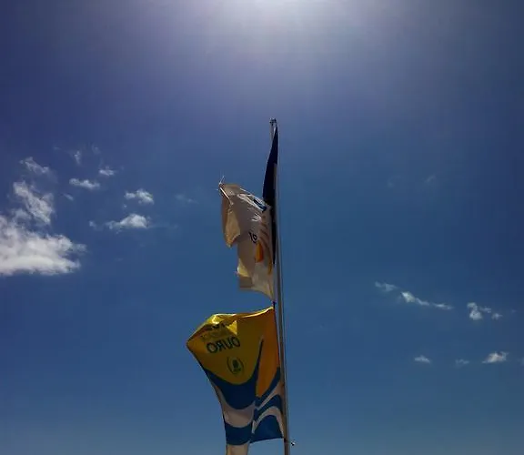 게스트하우스 Casa Dos Cedros 4*