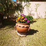 Casa Dos Cedros Gasthof