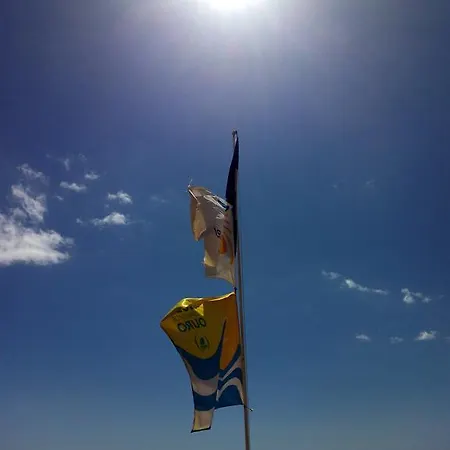 בית הארחה Casa Dos Cedros *