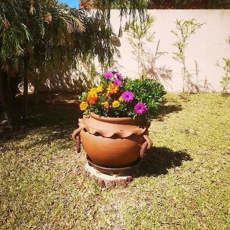 Casa Dos Cedros 招待所